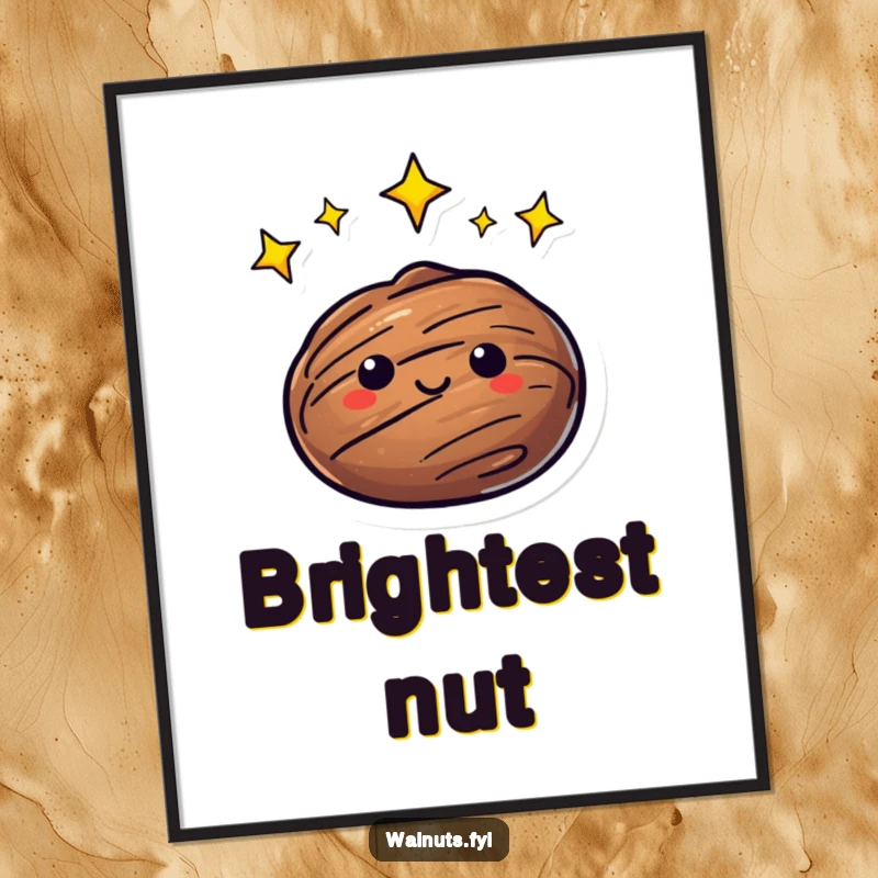 Funny Poster depicting a walnut with a halo of bright, twinkling stars, creating an awe-inspiring and ethereal celestial scene.